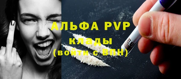 индика Аркадак