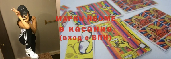 индика Аркадак