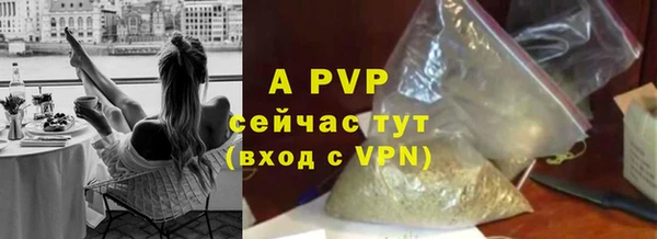 индика Аркадак