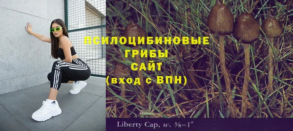 индика Аркадак
