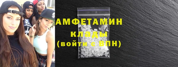прущие грибы Осинники