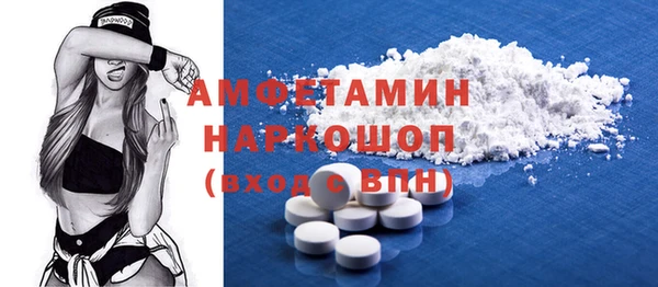 молекула духа Осташков