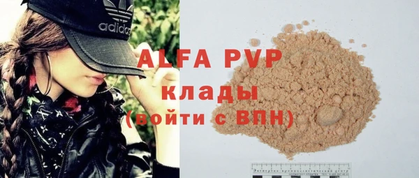 индика Аркадак