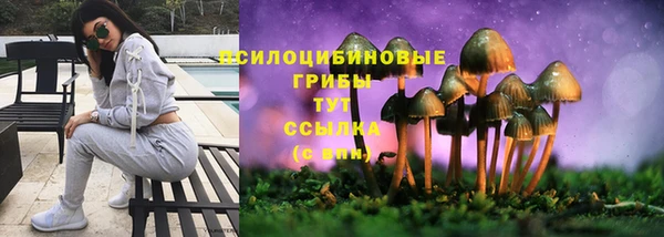 индика Аркадак