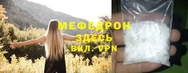 индика Аркадак